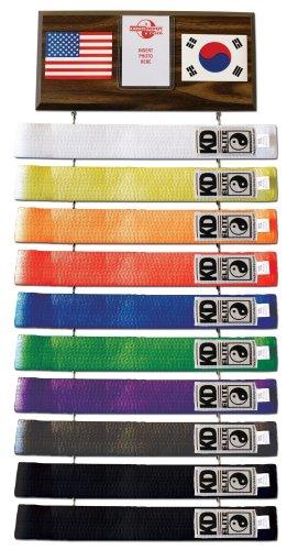 Ten Level Picture Belt Display